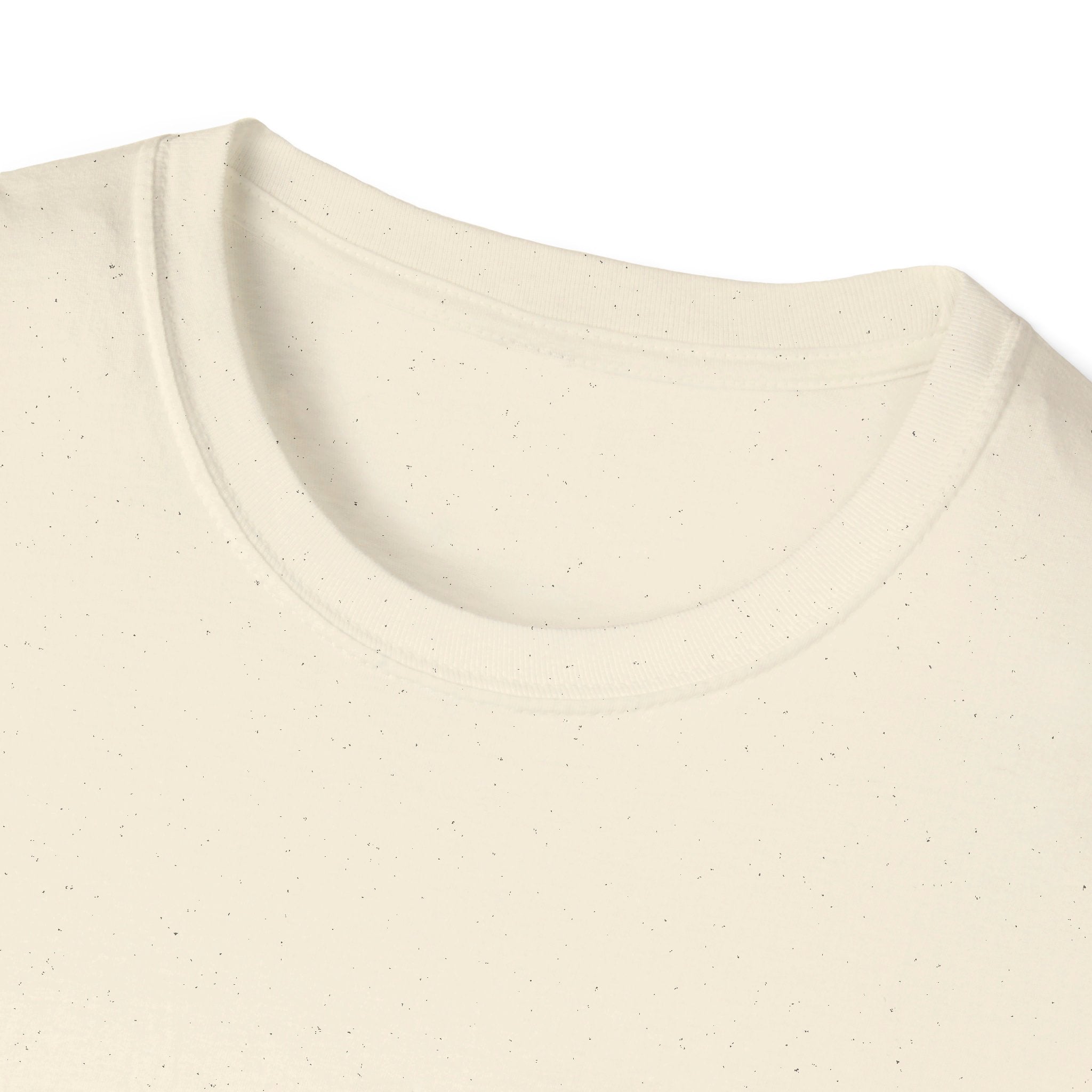 Non-Partisan Congress T-Shirt, featuring Senator Chuck Schumer
